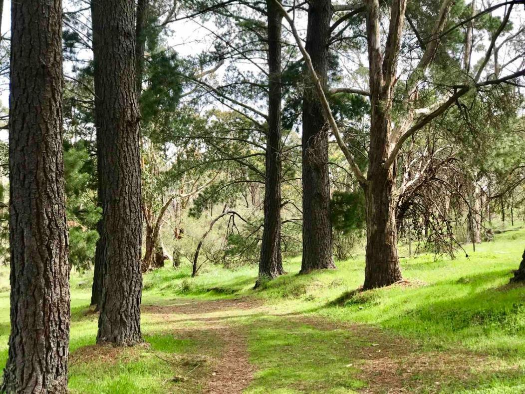 Adelaide Hills Escape Hotel Woodside Buitenkant foto